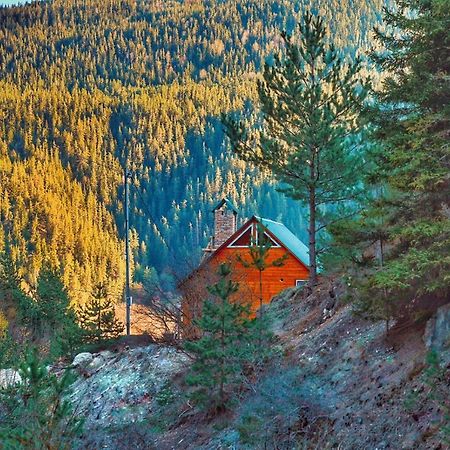 Cozy Cottage Feel Free Continental Didi Ateni Exterior foto